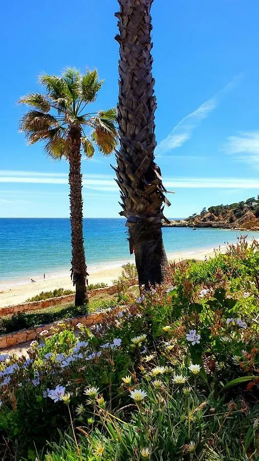 Sao Rafael Sun & Beach House Apartment Albufeira 0*,